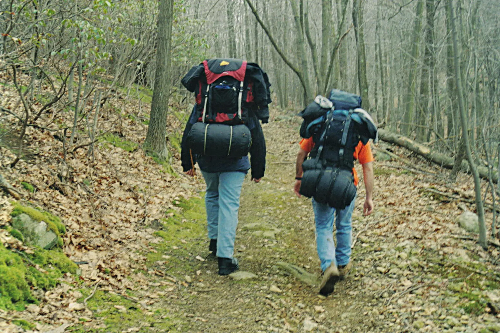 Dos personas caminando juntas de espaldas por un sendero del bosque, cada una con su mochila